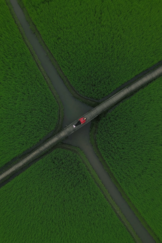 Surreal Verdant Minimalism style AI image example 2