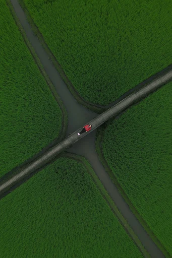 Surreal Verdant Minimalism style AI image example 2
