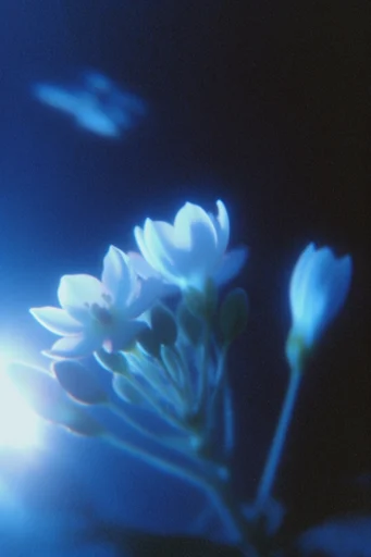 Ethereal Bioluminescent Nocturne style reference image — high-contrast chiaroscuro
