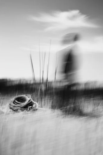 Ethereal Monochrome Kineticism style reference image — intentional camera movement