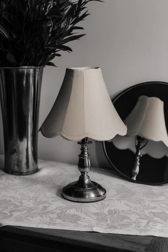 Timeless Monochrome Minimalism style reference image — high-contrast black and white photography