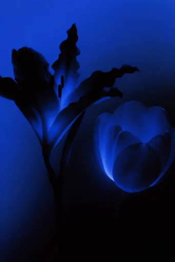 Spectral Cobalt Noir style reference image — cyan rim lighting