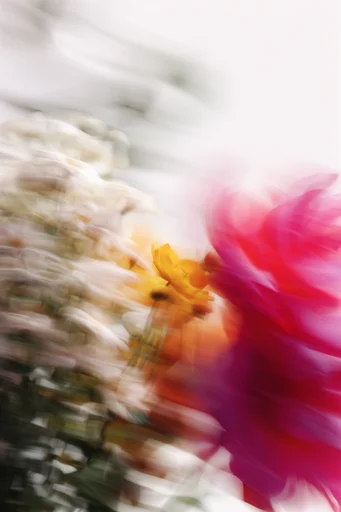Kinetic Ethereal Motion style reference image — dreamlike editorial