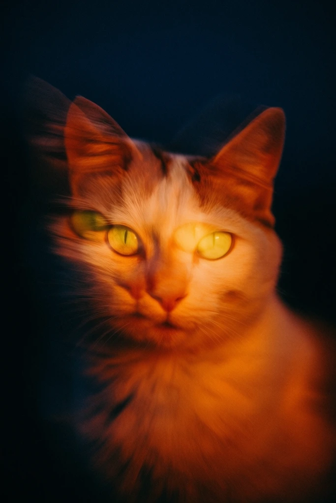 Kinetic Nocturnal Amber style AI image example 3