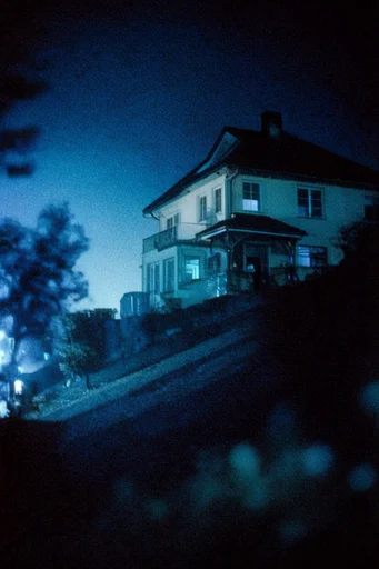 Nocturnal Cyanotype Melancholy style AI image example 4