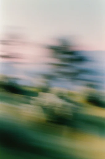 Ethereal Impressionist Haze style reference image — heavy film grain