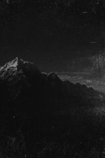 Distressed Monochromatic Noir style reference image — distressed monochromatic film