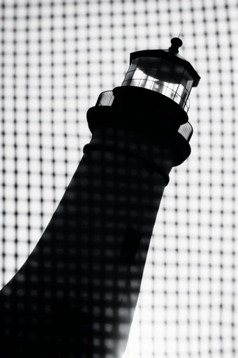Monochrome Geometric Abstraction style reference image — minimalist op-art