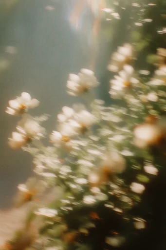 Ethereal Kinetic Impressionism style reference image — muted organic palette