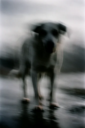 Spectral Motion Ethereality style reference image — somber atmospheric mood