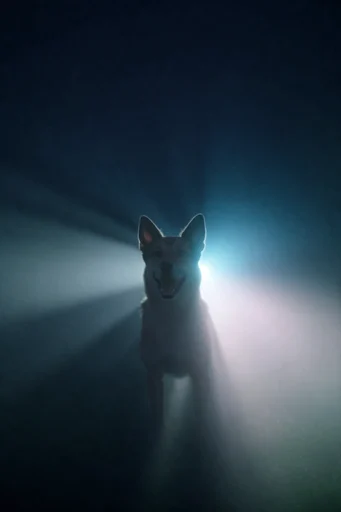 Luminous Abyssal Noir style reference image — atmospheric fog