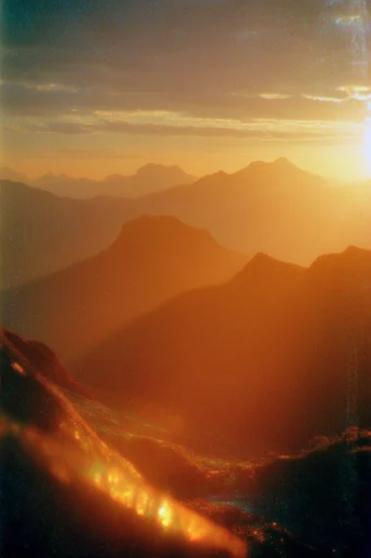Cinematic Amber Noir style reference image — soft focus bloom