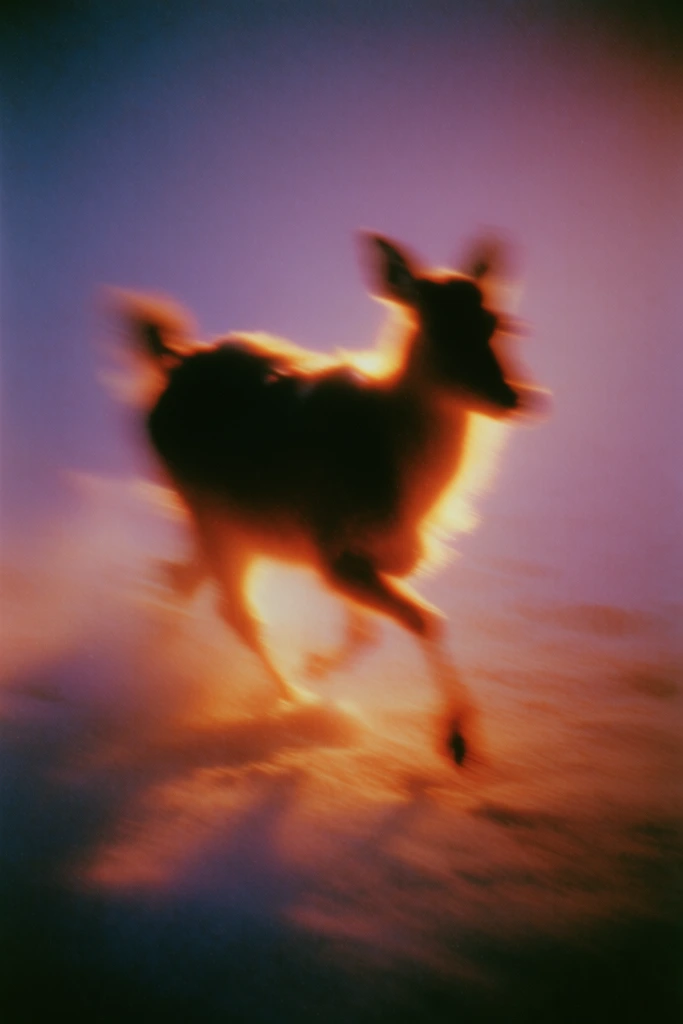 Ethereal Analog Nostalgia style AI image example 3