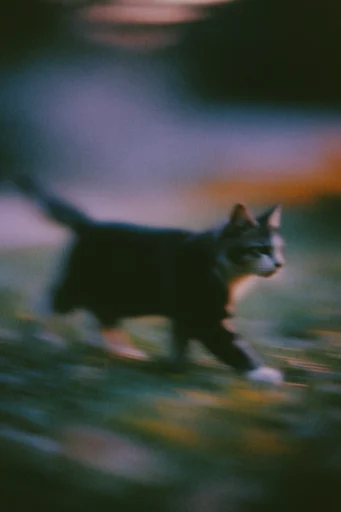 Ethereal Motion Blur style reference image — lo-fi analog texture