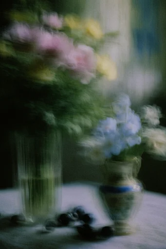 Ethereal Blurred Impressionism style reference image — intentional motion blur