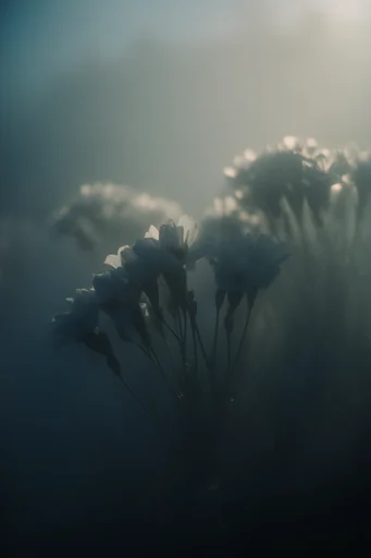 Cinematic Atmospheric Gloom style reference image — muted earth palette