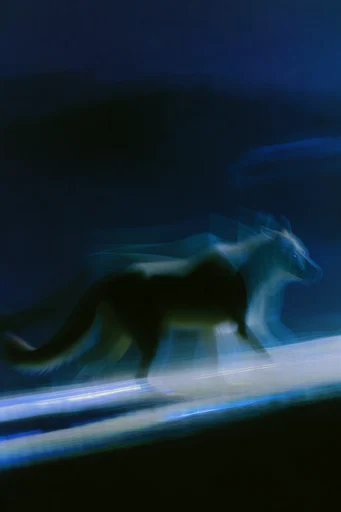 Spectral Nocturnal Motion style AI image example 3