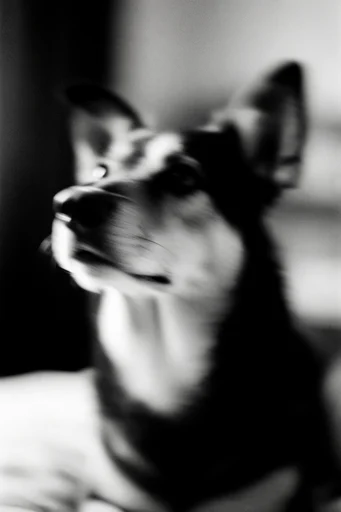 Monochrome Ethereal Blur style reference image — ghostly silhouette