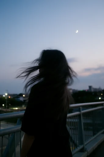 Cinematic Twilight Melancholy style reference image — twilight blue hour