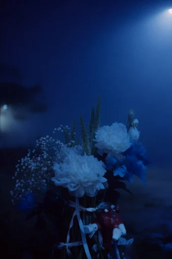 Cinematic Nocturnal Melancholia style reference image — introspective composition
