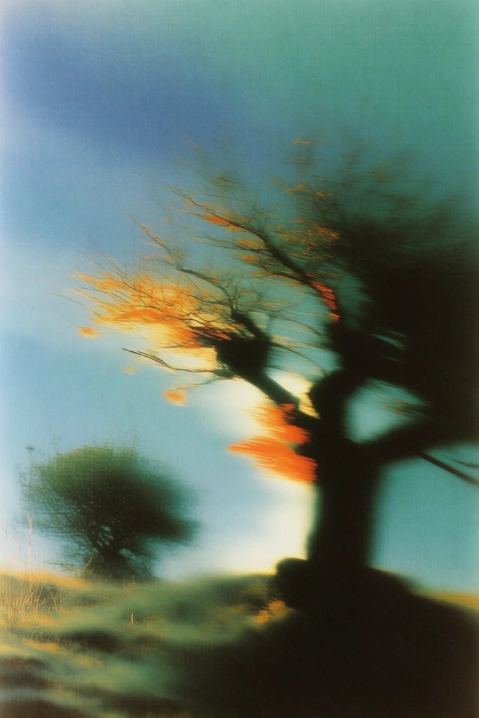 Ethereal Analog Dreamscape style AI image example 2