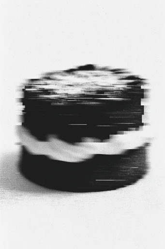 Corrupted Monochrome Brutalism style reference image — analog signal decay