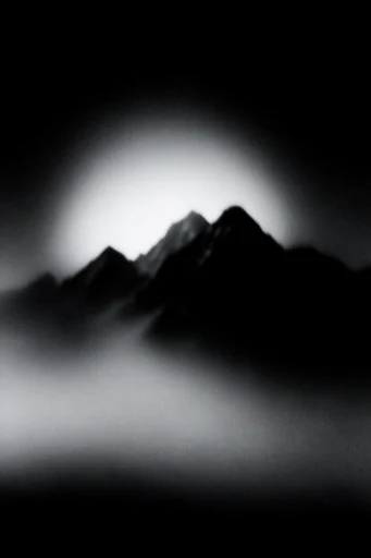 Ethereal Nocturnal Minimalism style reference image — high-contrast monochrome
