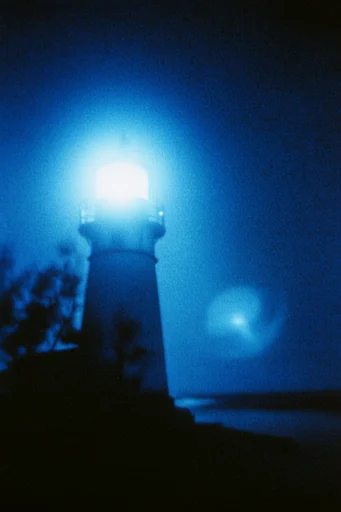 Ethereal Nocturnal Cyanotype style reference image — high-contrast silhouettes