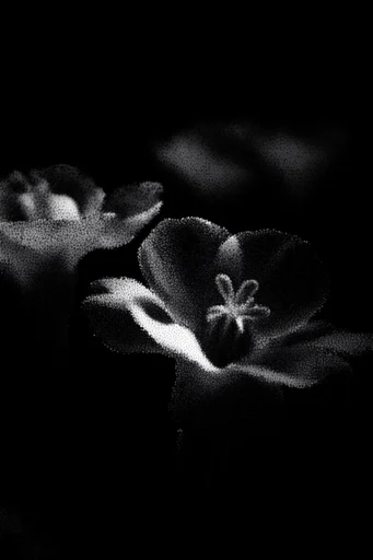 Gritty Monochromatic Noir style reference image — distressed xerox aesthetic