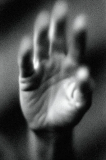 Ethereal Noir Pictorialism style reference image — soft focus