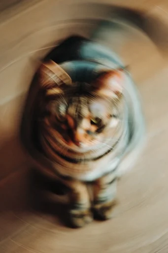 Kinetic Temporal Motion style reference image — dynamic panning