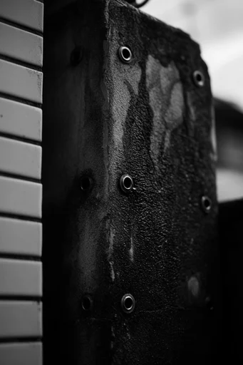 Obsidian Surrealist Noir style reference image — intimate close-up