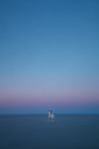 Ethereal Minimalist Solitude style reference image — atmospheric lighting