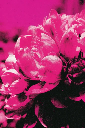 Gritty Punk Zine style reference image — neon pink accents