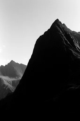 Gritty Monochrome Noir style reference image — high-contrast black and white