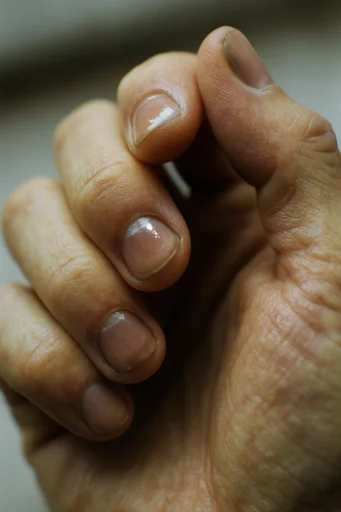Visceral Macro Realism style reference image — visceral intimacy