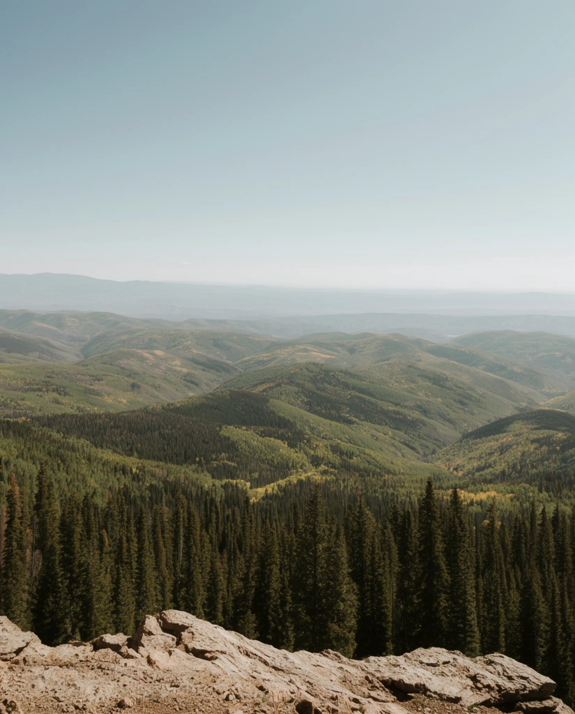 sweeping mountain panorama, rocky foreground outcropping, dense evergreen forest, rolling hills with mixed green and yellow foliage, distant atmospheric haze, expansive pale blue sky, wide-angle landscape photography, natural daylight, muted earthy colors