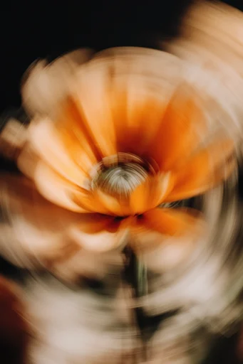 Kinetic Temporal Motion style reference image — dynamic panning