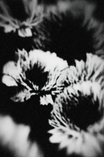 Gritty Monochromatic Noir style reference image — raw zine aesthetic