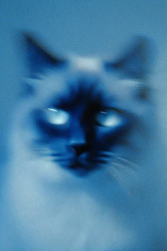 Spectral Indigo Noir style reference image — risograph texture
