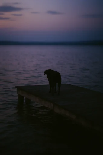 Cinematic Twilight Solitude style reference image — overcast diffused lighting