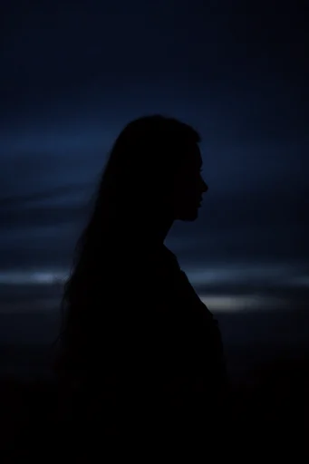 Minimalist Nocturnal Silhouettes style reference image — nocturnal mood