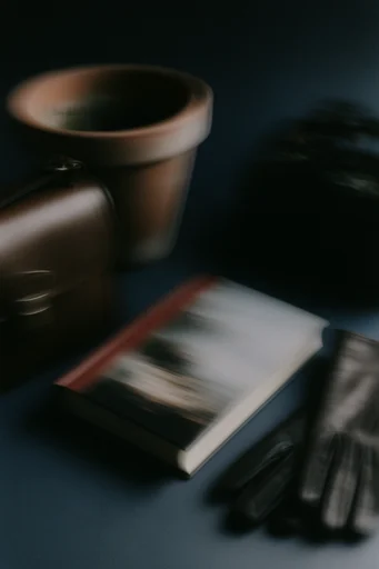 Nocturnal Cinematic Blur style reference image — analog film grain