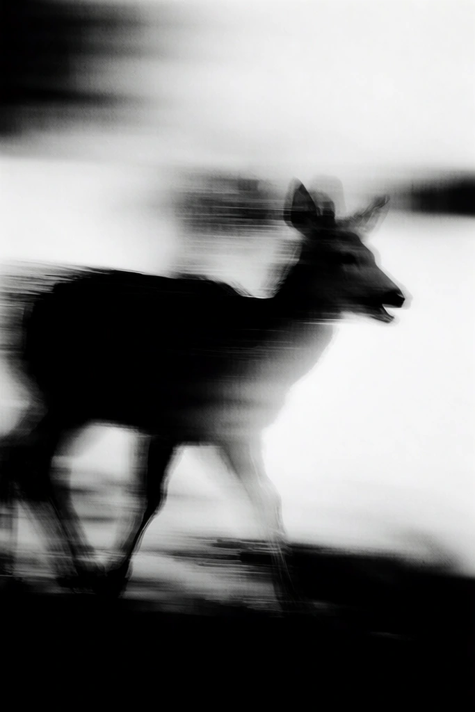 Haunting Liminal Monochrome style AI image example 3
