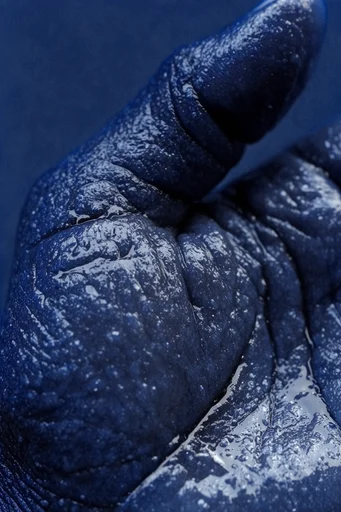 Visceral Cobalt Macro style reference image — tactile organic textures