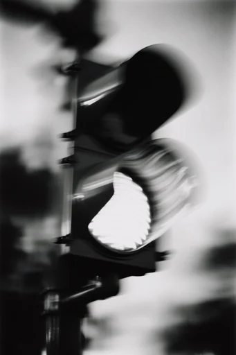 Monochrome Kinetic Glitch style reference image — liquid glitch distortion