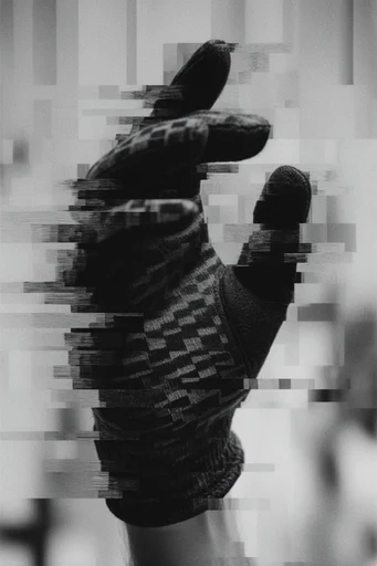 Monochrome Glitch Fragmentation style reference image — digital corruption