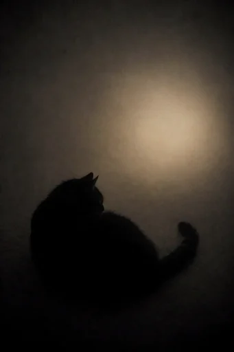 Cinematic Shadow Noir style reference image — muted sepia and charcoal tones
