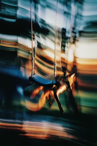 Kinetic Nocturnal Motion style reference image — amber and teal contrast