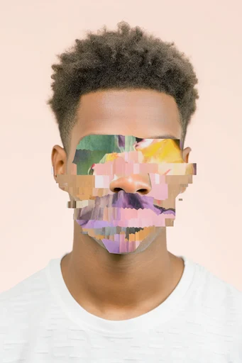 Surrealist Pastel Glitch style reference image — geometric crystal face